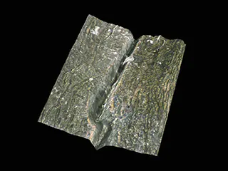 模具开裂的三维形状显示(200x)