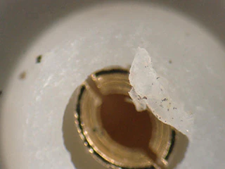 正常的